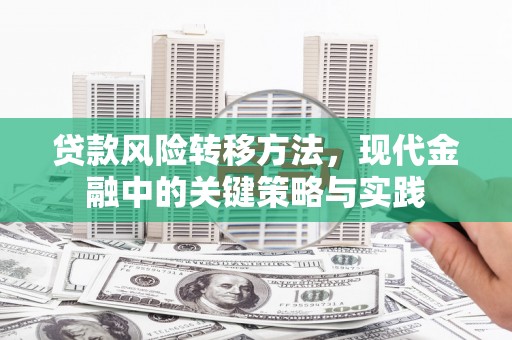丰滨贷款风险转移方法，现代金融中的关键策略与实践