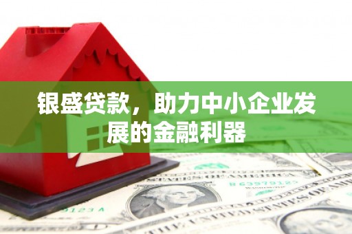 丰滨银盛贷款，助力中小企业发展的金融利器