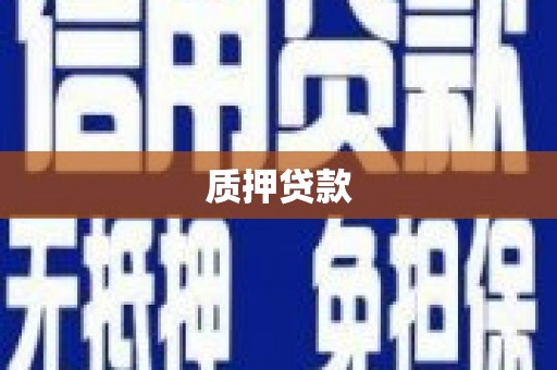 丰滨质押贷款