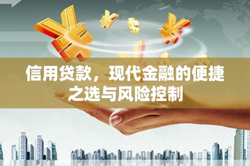 丰滨信用贷款，现代金融的便捷之选与风险控制