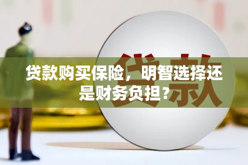 丰滨贷款购买保险，明智选择还是财务负担？