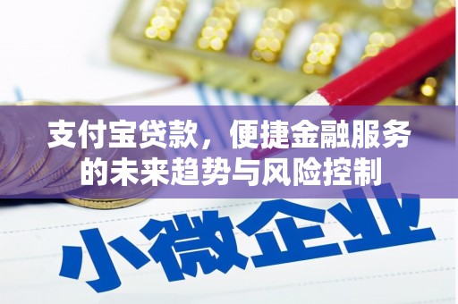 丰滨支付宝贷款，便捷金融服务的未来趋势与风险控制