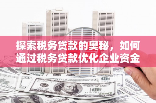 丰滨探索税务贷款的奥秘，如何通过税务贷款优化企业资金流