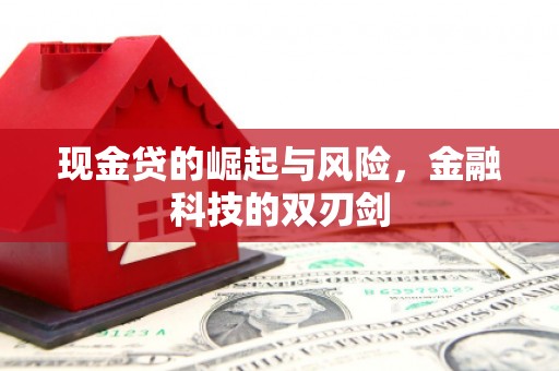 丰滨现金贷的崛起与风险，金融科技的双刃剑