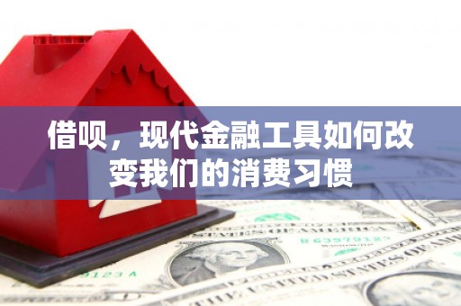 丰滨借呗，现代金融工具如何改变我们的消费习惯