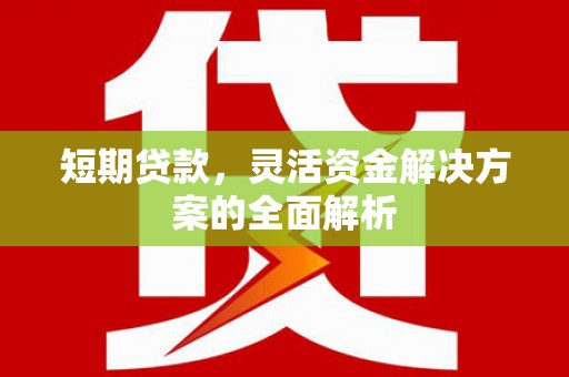 丰滨短期贷款，灵活资金解决方案的全面解析