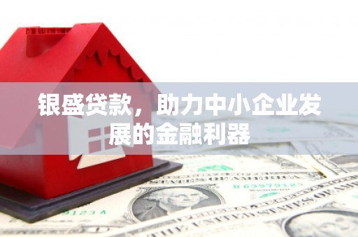 丰滨银盛贷款，助力中小企业发展的金融利器