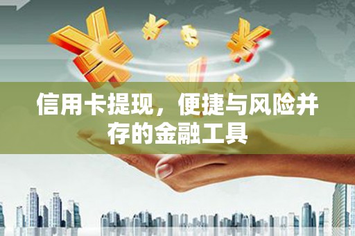 丰滨信用卡提现，便捷与风险并存的金融工具