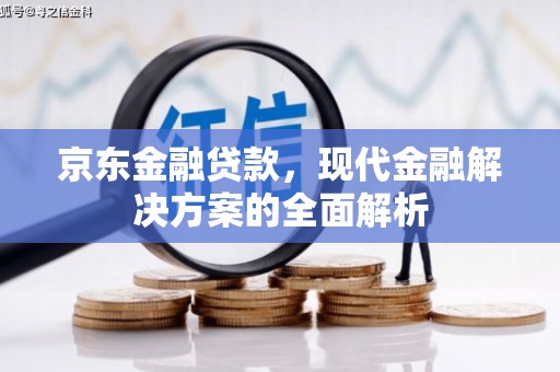丰滨京东金融贷款，现代金融解决方案的全面解析