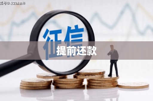 丰滨提前还款