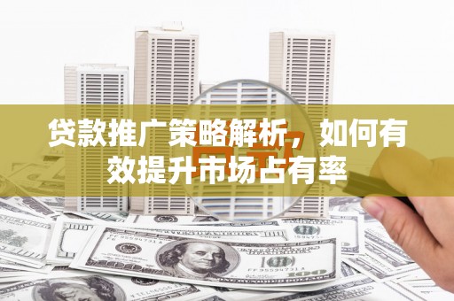 丰滨贷款推广策略解析，如何有效提升市场占有率
