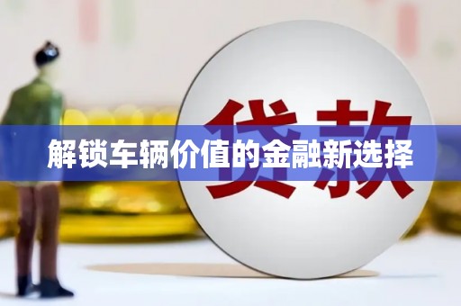 丰滨解锁车辆价值的金融新选择