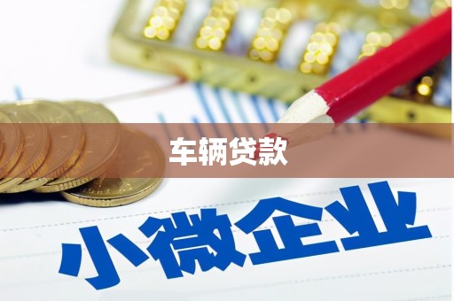 丰滨车辆贷款