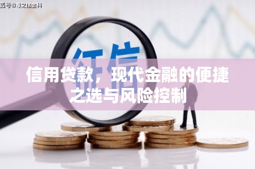 丰滨信用贷款，现代金融的便捷之选与风险控制