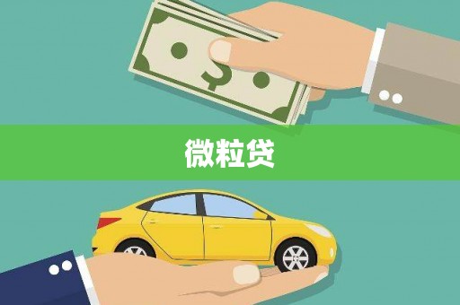 丰滨微粒贷