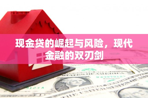 丰滨现金贷的崛起与风险，现代金融的双刃剑