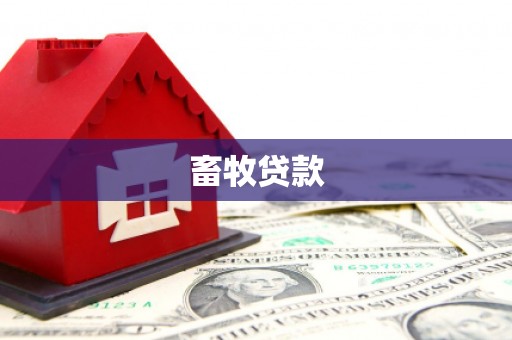 丰滨畜牧贷款