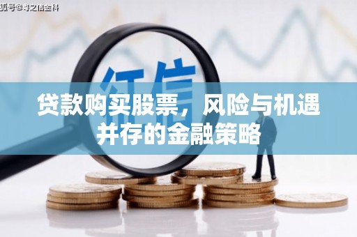 丰滨贷款购买股票，风险与机遇并存的金融策略