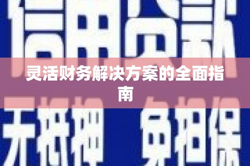 丰滨灵活财务解决方案的全面指南