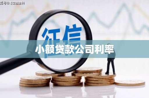 丰滨小额贷款公司利率