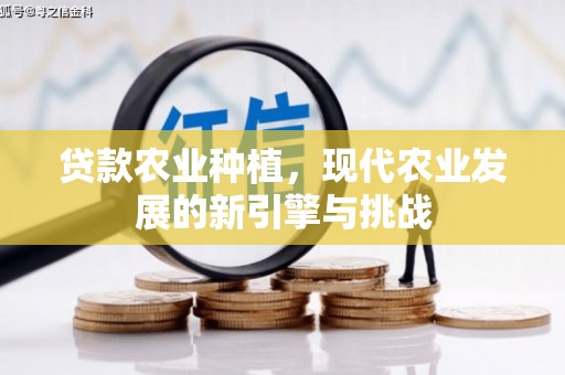 丰滨贷款农业种植，现代农业发展的新引擎与挑战