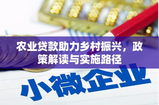 丰滨农业贷款助力乡村振兴，政策解读与实施路径