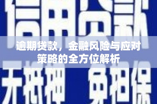 丰滨逾期贷款，金融风险与应对策略的全方位解析