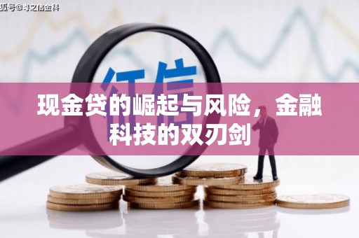 丰滨现金贷的崛起与风险，金融科技的双刃剑