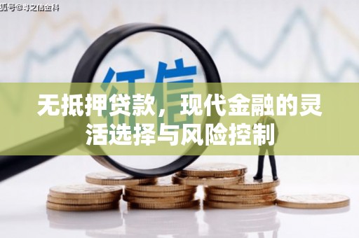 丰滨无抵押贷款，现代金融的灵活选择与风险控制