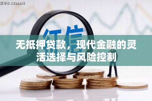 丰滨无抵押贷款，现代金融的灵活选择与风险控制