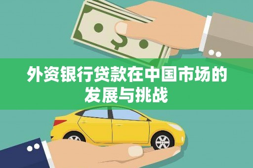 丰滨外资银行贷款在中国市场的发展与挑战