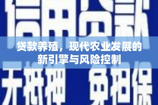 丰滨贷款养殖，现代农业发展的新引擎与风险控制