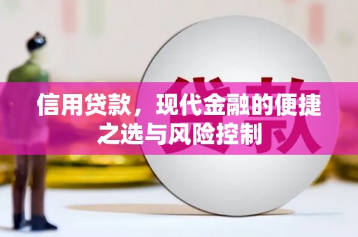 丰滨信用贷款，现代金融的便捷之选与风险控制