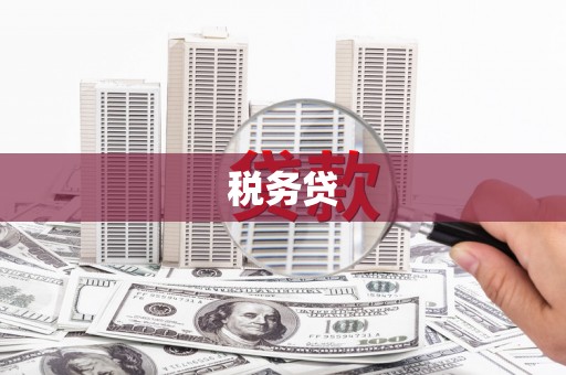 丰滨税务贷