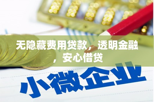 丰滨无隐藏费用贷款，透明金融，安心借贷