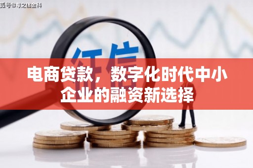 丰滨电商贷款，数字化时代中小企业的融资新选择