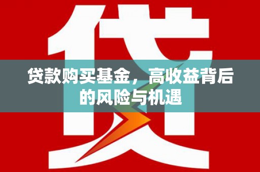 丰滨贷款购买基金，高收益背后的风险与机遇