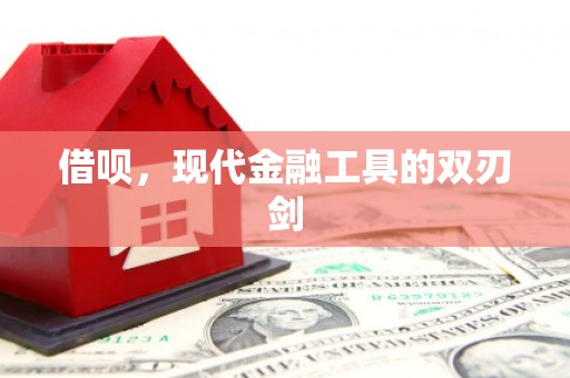 丰滨借呗，现代金融工具的双刃剑