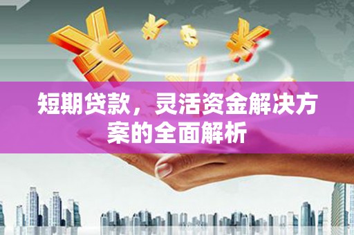 丰滨短期贷款，灵活资金解决方案的全面解析
