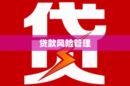 丰滨贷款风险管理