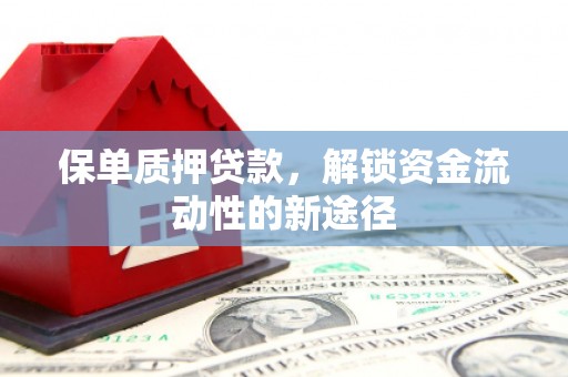 丰滨保单质押贷款，解锁资金流动性的新途径