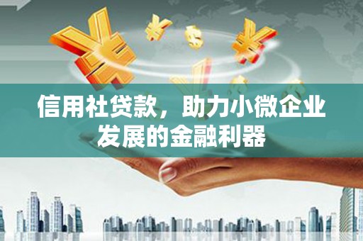 丰滨信用社贷款，助力小微企业发展的金融利器