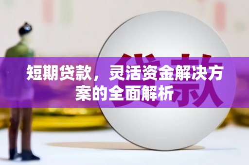 丰滨短期贷款，灵活资金解决方案的全面解析