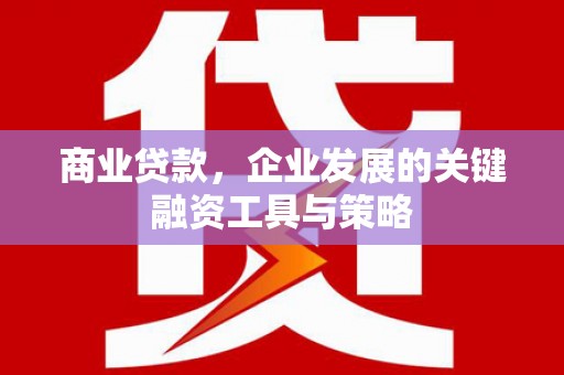 丰滨商业贷款，企业发展的关键融资工具与策略