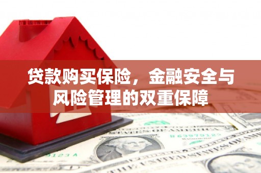 丰滨贷款购买保险，金融安全与风险管理的双重保障