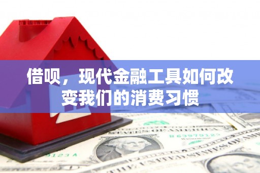 丰滨借呗，现代金融工具如何改变我们的消费习惯