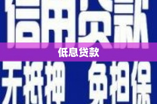 丰滨低息贷款