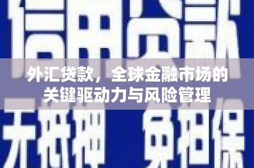 丰滨外汇贷款，全球金融市场的关键驱动力与风险管理