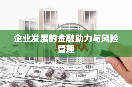 丰滨企业发展的金融助力与风险管理