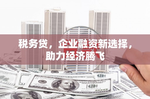 丰滨税务贷，企业融资新选择，助力经济腾飞